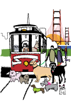 San Francisco Dogs