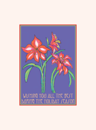 Amaryllis